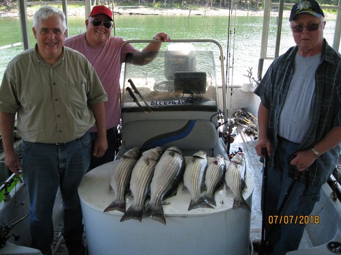 Nice Striped Bass